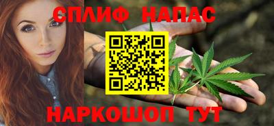 стафф Гусев