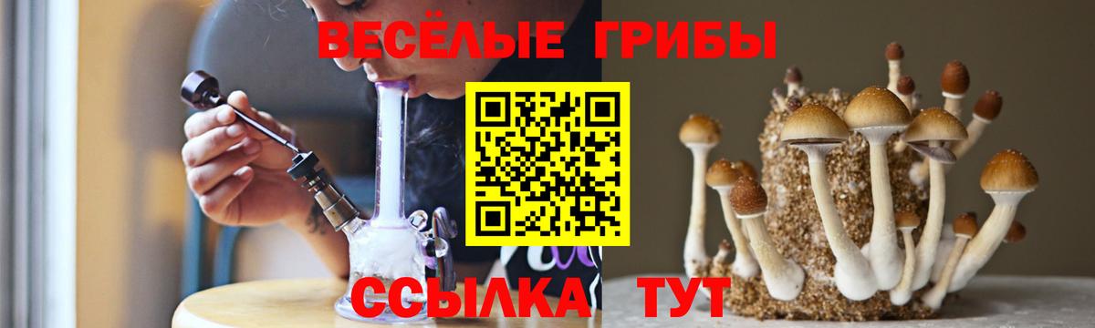 Псилоцибиновые грибы Cubensis Михайловка